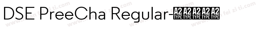 DSE PreeCha Regular字体转换